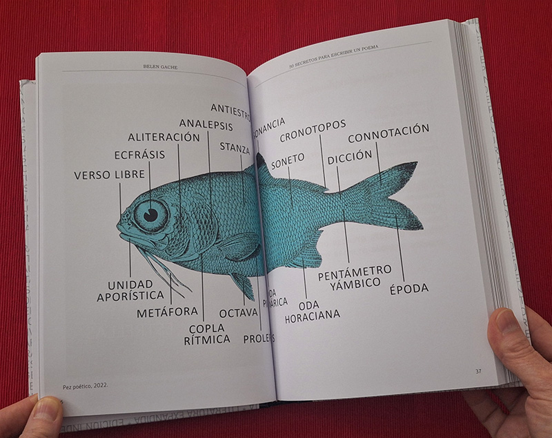 50 secretos para escribir un poema